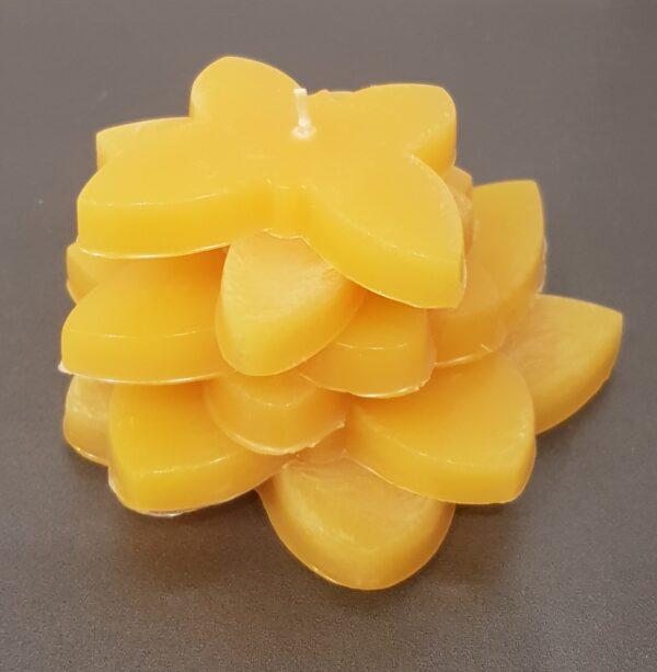 Zon Vlinder - Afbeelding 2