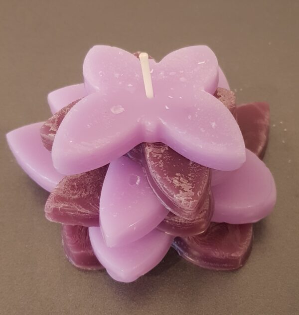 Lilac Vlinder - Afbeelding 2