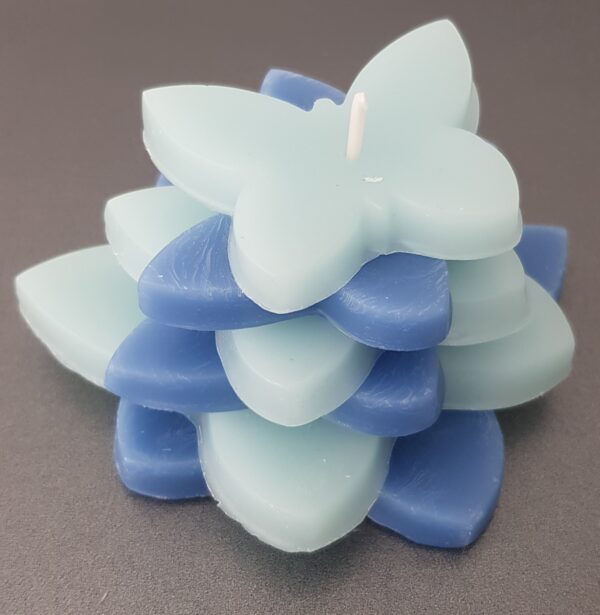 Blauwe Lucht - Afbeelding 3